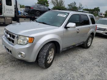  Salvage Ford Escape