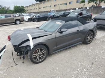  Salvage Ford Mustang