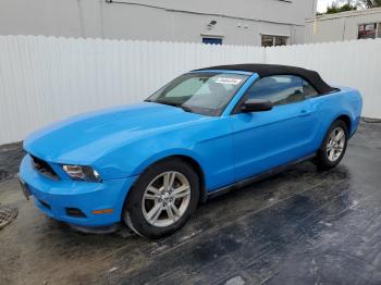  Salvage Ford Mustang