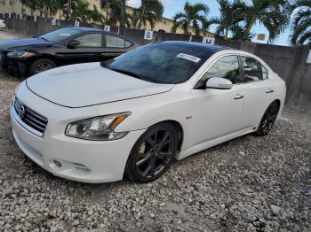  Salvage Nissan Maxima