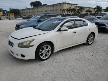  Salvage Nissan Maxima