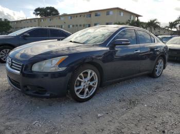  Salvage Nissan Maxima