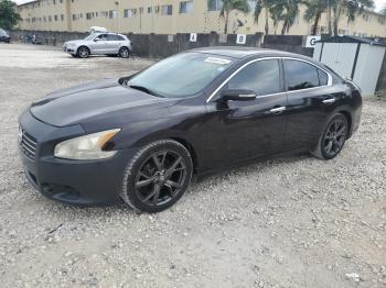  Salvage Nissan Maxima