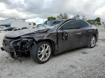  Salvage Nissan Maxima