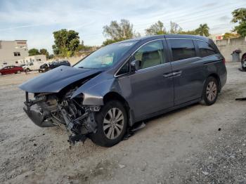  Salvage Honda Odyssey