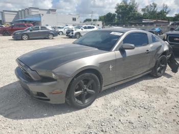  Salvage Ford Mustang