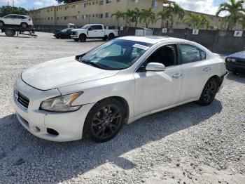  Salvage Nissan Maxima