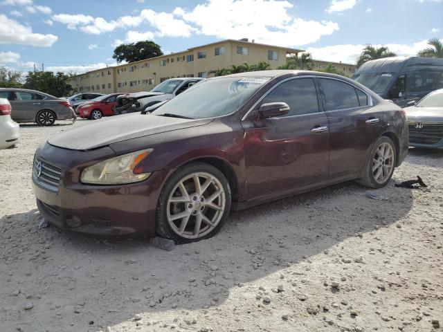  Salvage Nissan Maxima