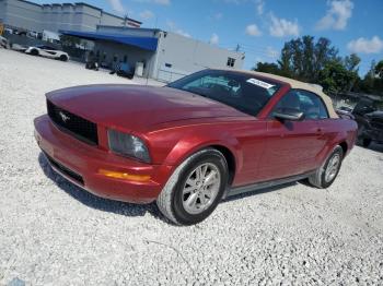  Salvage Ford Mustang