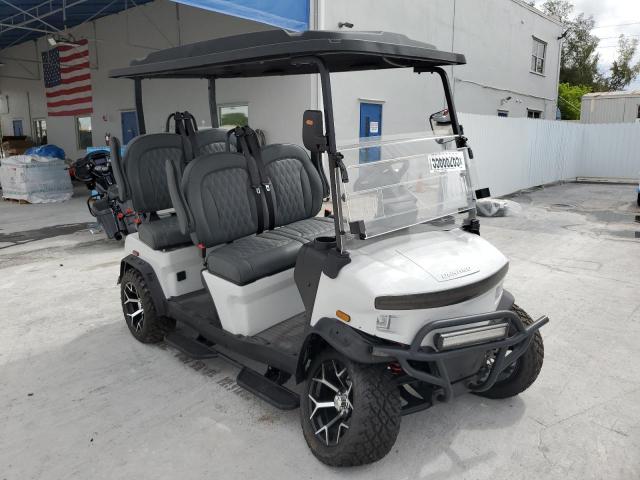  Salvage Golf Golf Cart