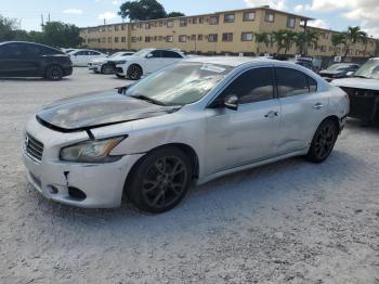  Salvage Nissan Maxima