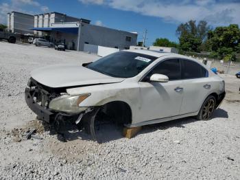  Salvage Nissan Maxima