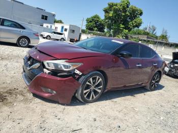  Salvage Nissan Maxima