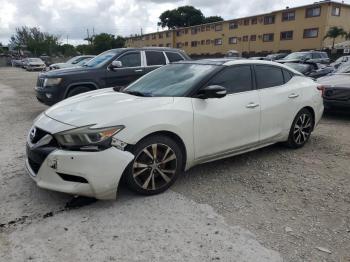  Salvage Nissan Maxima