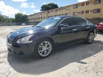  Salvage Nissan Maxima