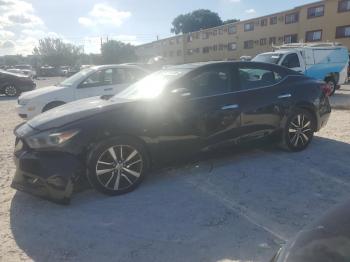  Salvage Nissan Maxima
