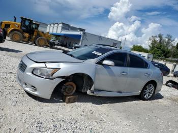  Salvage Nissan Maxima