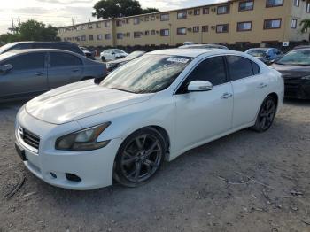  Salvage Nissan Maxima