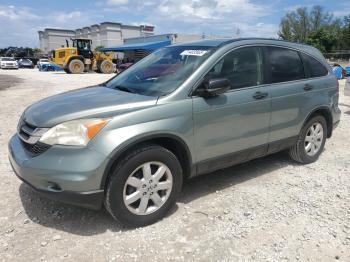  Salvage Honda Crv