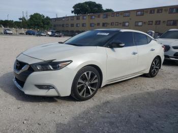  Salvage Nissan Maxima