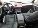 Tesla Model Y Image 5