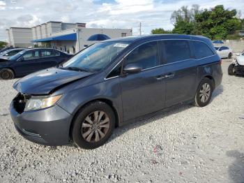  Salvage Honda Odyssey