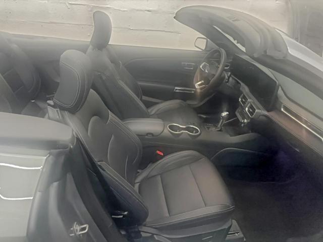 Ford Mustang Image 2