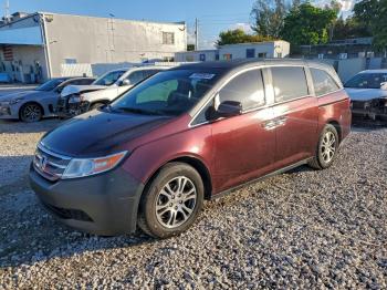  Salvage Honda Odyssey