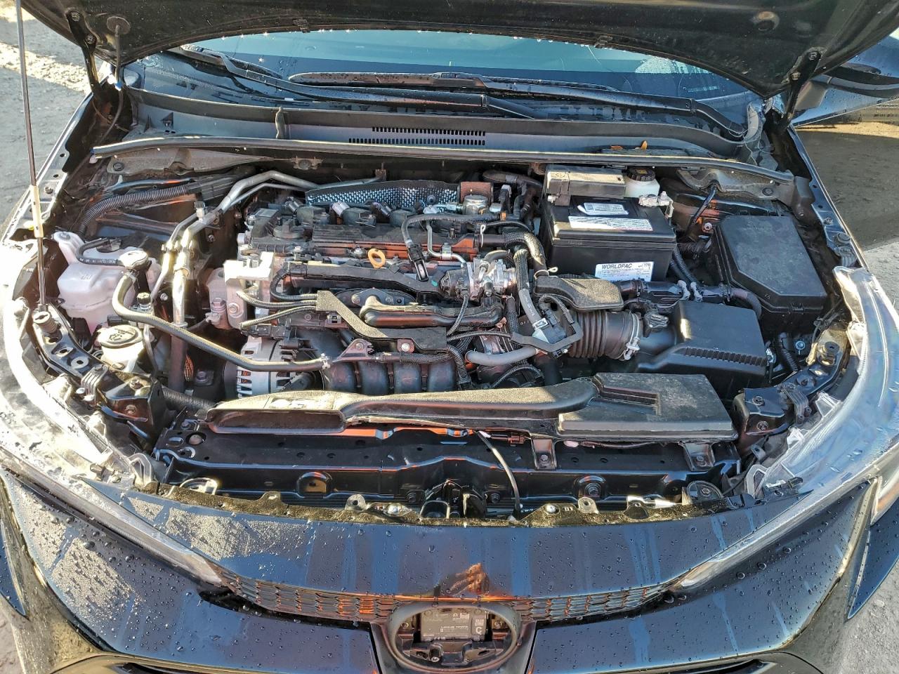 Toyota Corolla Le Image 12