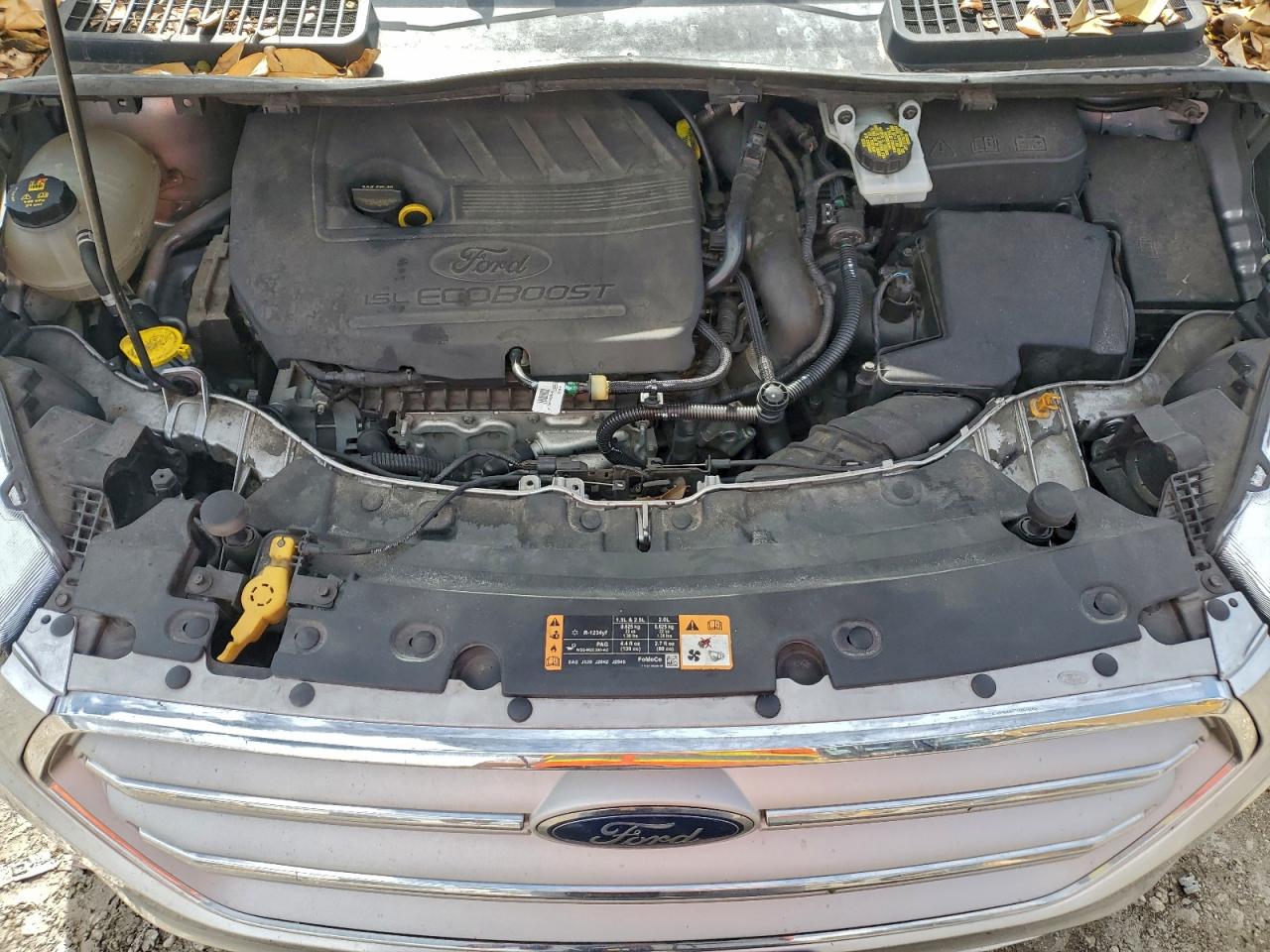 Ford Escape Se Image 9