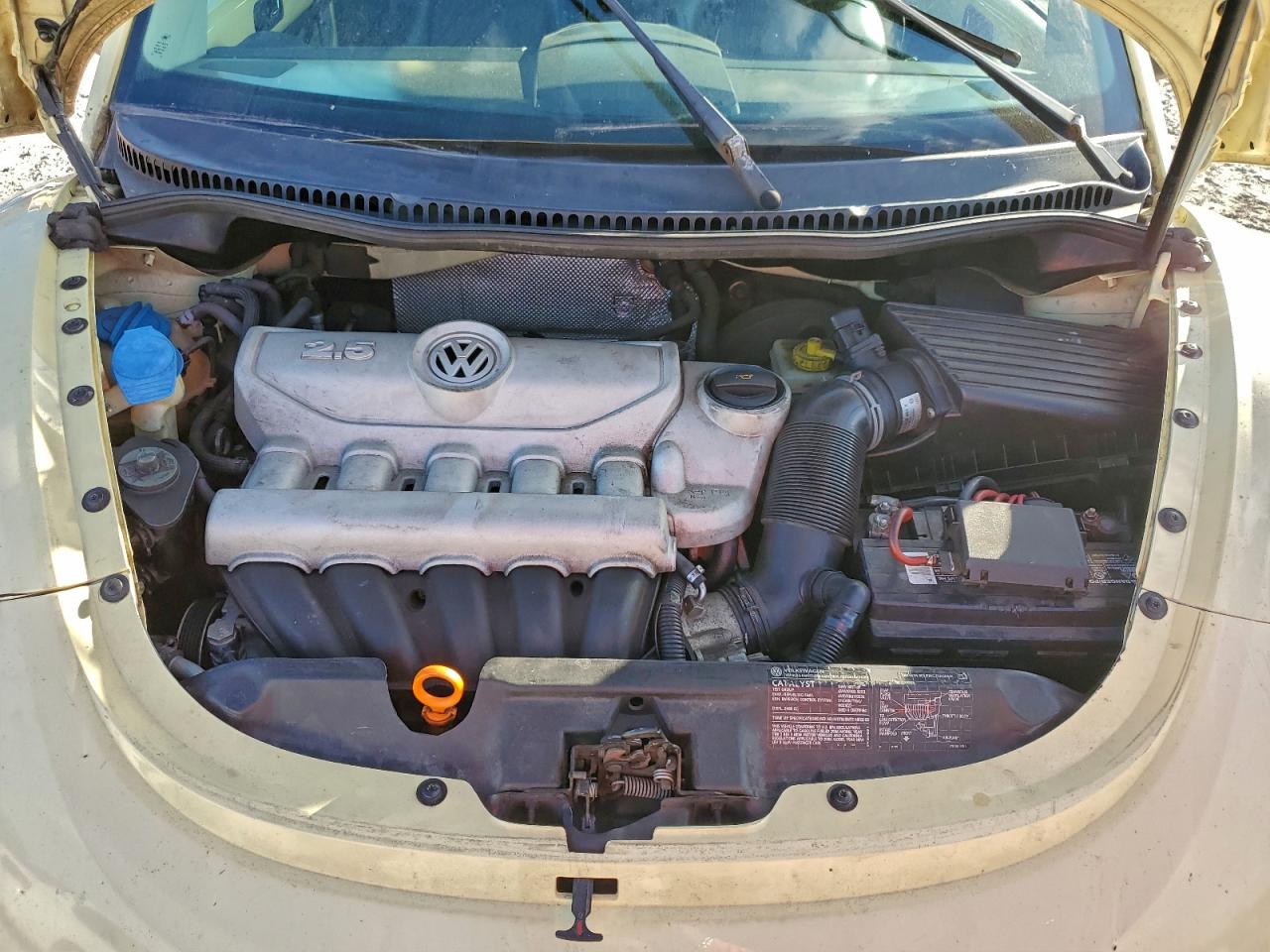 Volkswagen Beetle Convertible Option Package 1 Image 8