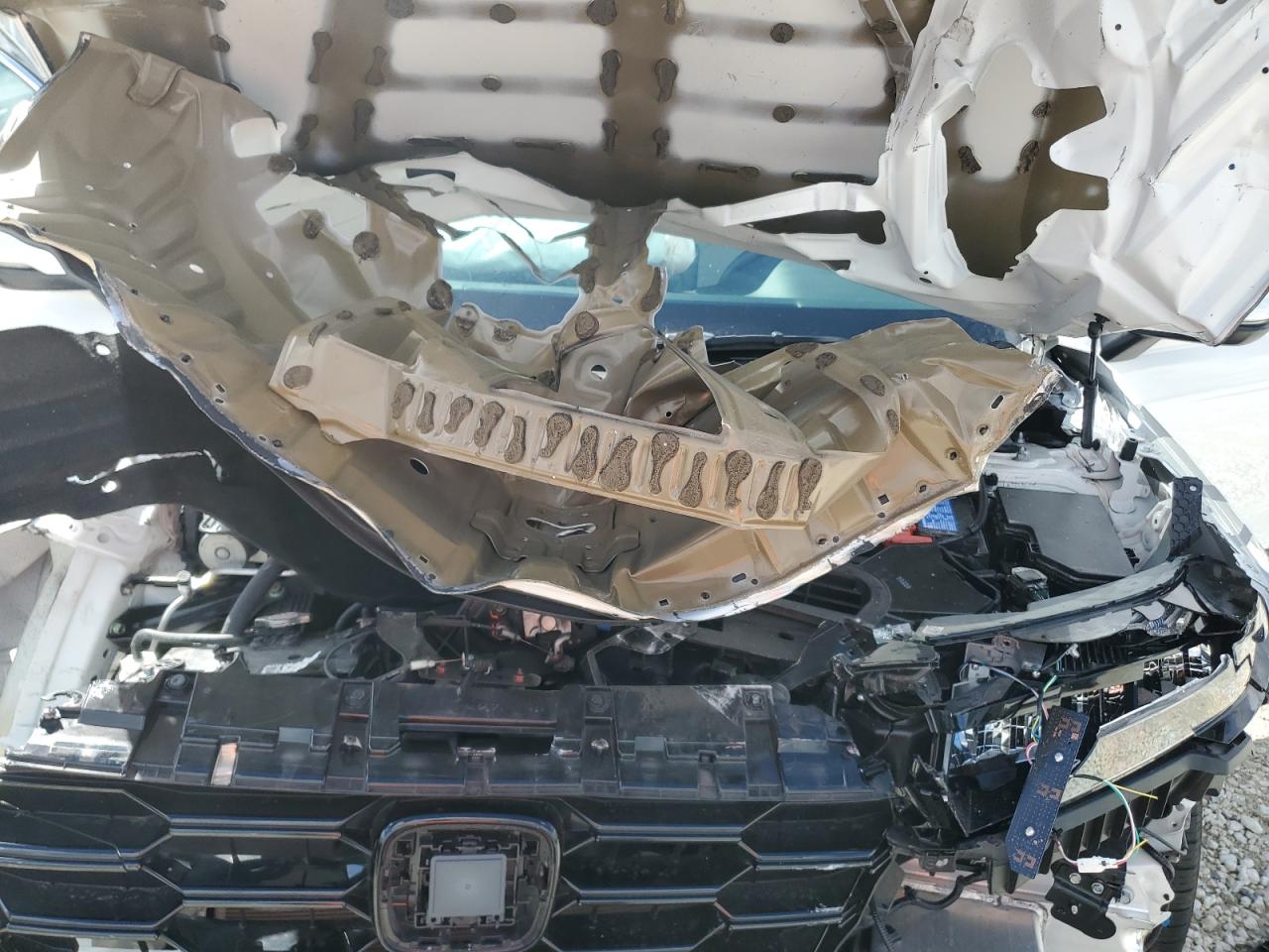 Honda Crv Ex Image 8