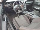 Ford Mustang Image 5