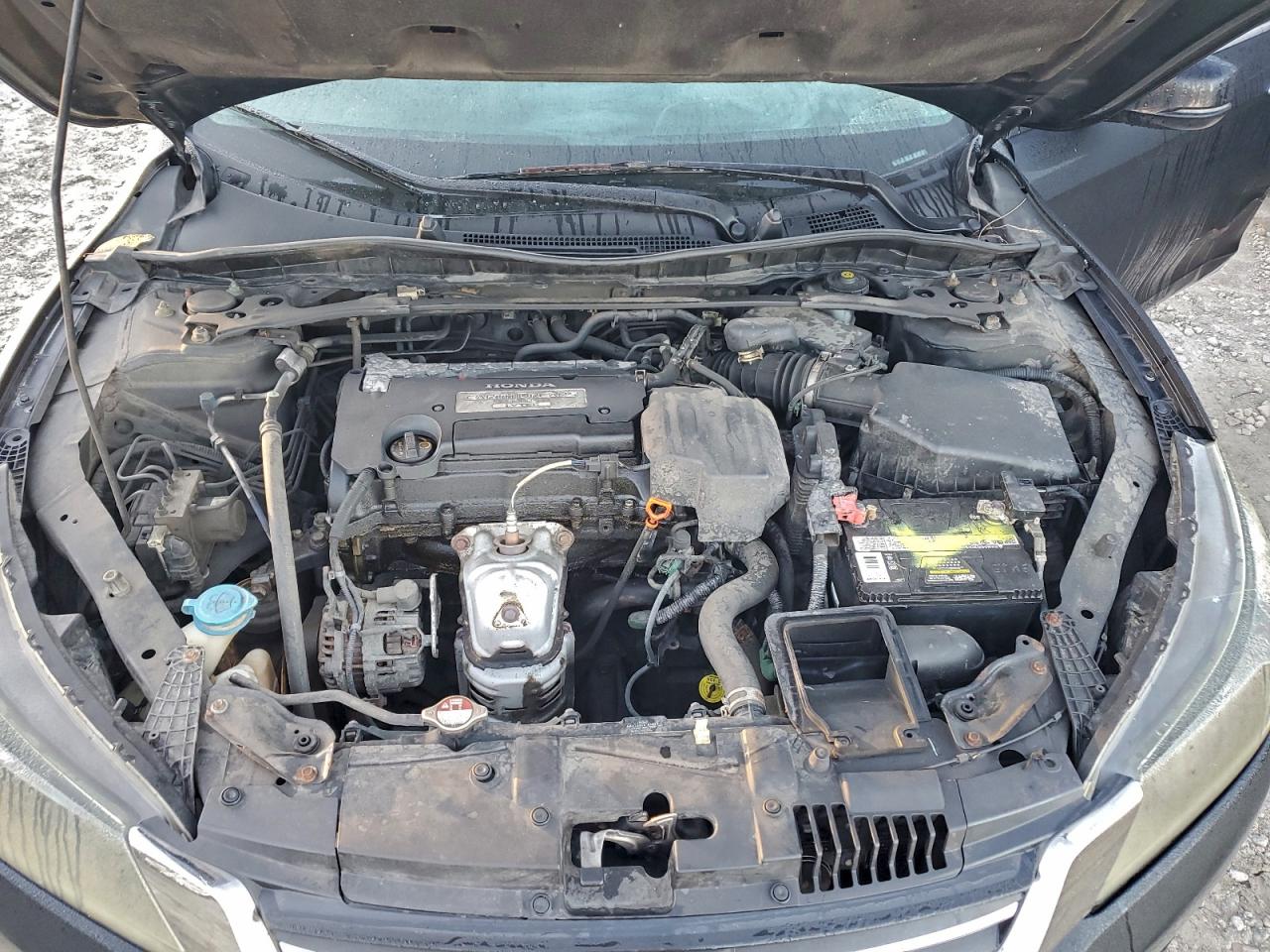 Honda Accord Exl Image 8