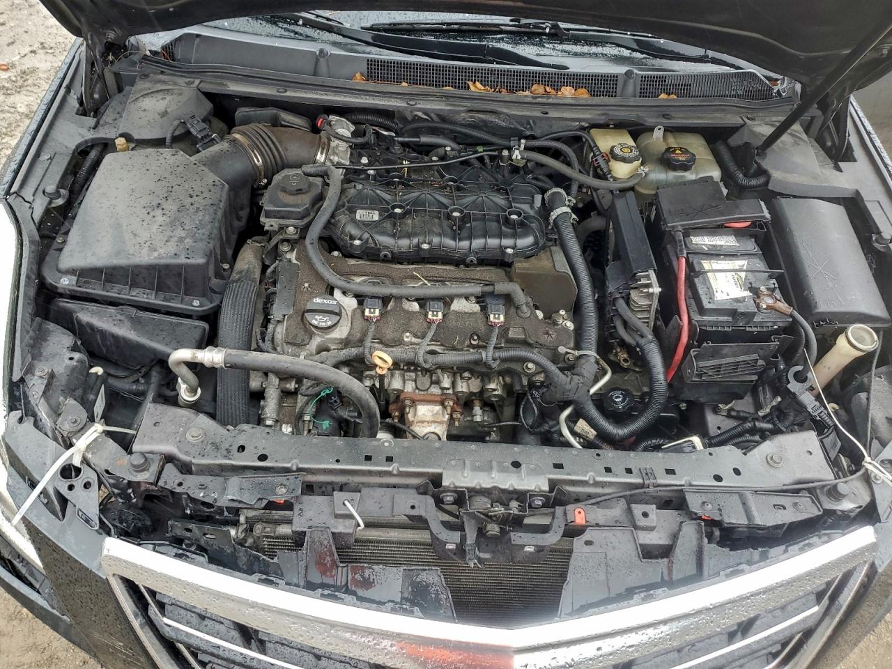 Cadillac XTS Luxury Collection Image 8